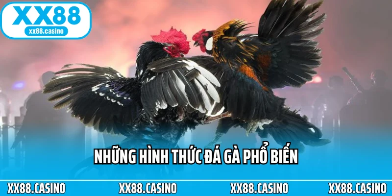 Những hình thức đá gà phổ biến